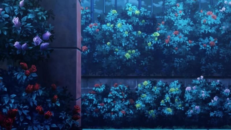 Превью видео: постер эпизода